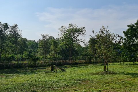 Land in Chiang Rai, Thailand 1600 sq.m. № 151346 - photo 24