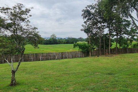 Land in Chiang Rai, Thailand 1600 sq.m. № 151346 - photo 11