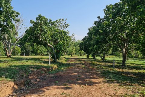 Land in Chiang Rai, Thailand 1600 sq.m. № 151346 - photo 27
