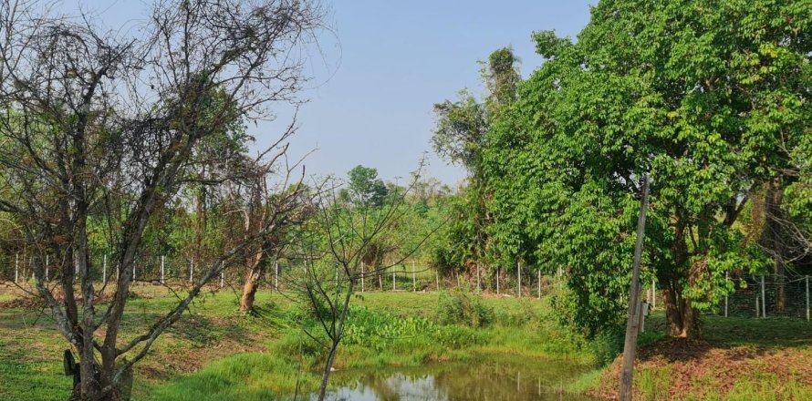 Land in Chiang Rai, Thailand 1600 sq.m. № 151346