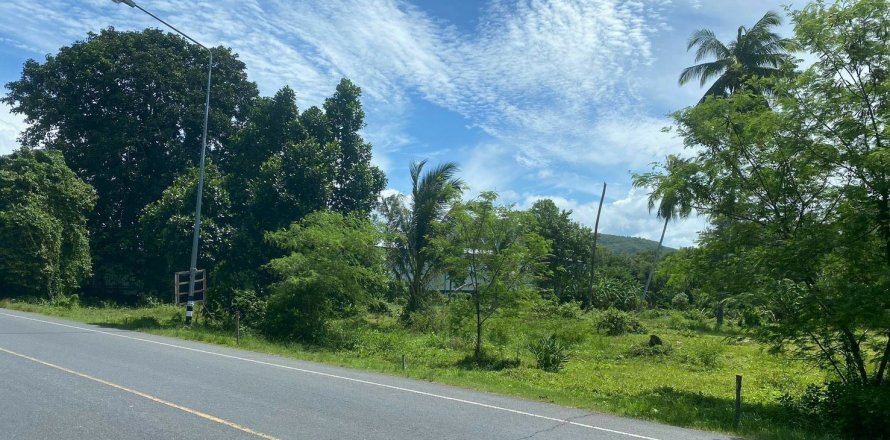 Земельный участок в Май Кхао, Таиланд 14900м2  № 151342