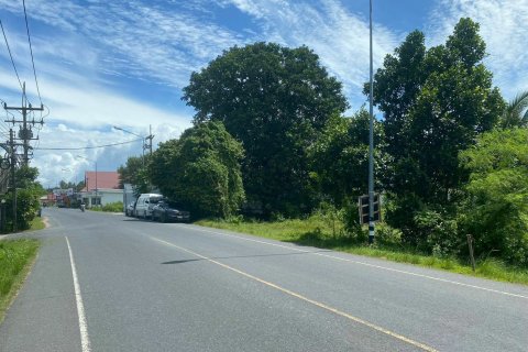 Земельный участок в Май Кхао, Таиланд 14900м2  № 151342 - фото 4