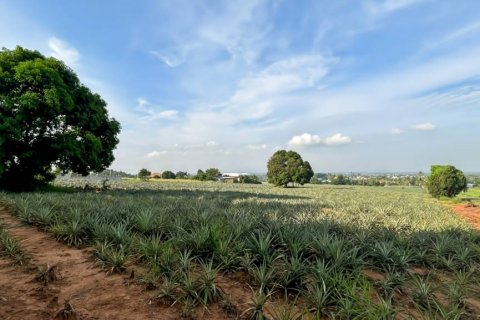Земельный участок в Пран Бури, Таиланд  № 116407 - фото 5