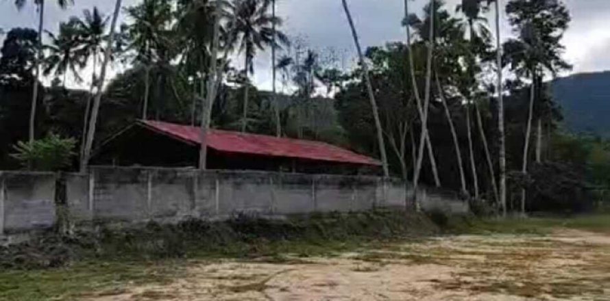 Land in Ko Samui, Thailand 1215 sq.m. № 154746