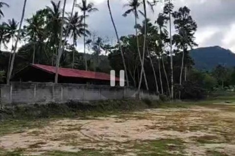 Land in Ko Samui, Thailand 1215 sq.m. № 154746 - photo 4