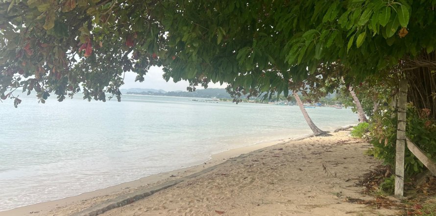 Land in Ko Samui, Thailand 3200 sq.m. № 154747