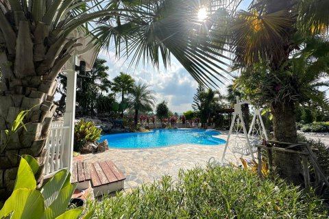 Studio in Prachinburi, Thailand № 180581 - photo 5