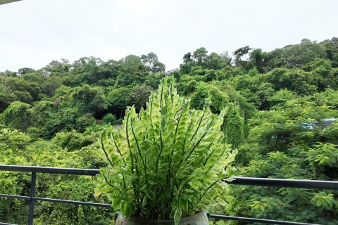 Квартира в Паттайе, Таиланд с 3 комнатами  № 150931 - фото 20