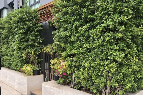 Студия в кондо в Пхракханонге, Бангкок, Таиланд № 167850 - фото 7