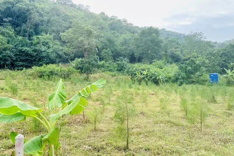 Земельный участок в Хуа Хине, Таиланд 2580м2  № 157280 - фото 3