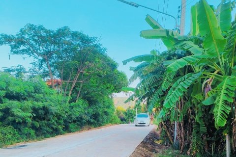 Земельный участок в Хуа Хине, Таиланд 2580м2  № 157280 - фото 10