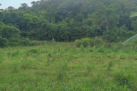 Земельный участок в Хуа Хине, Таиланд 2580м2  № 157280 - фото 11