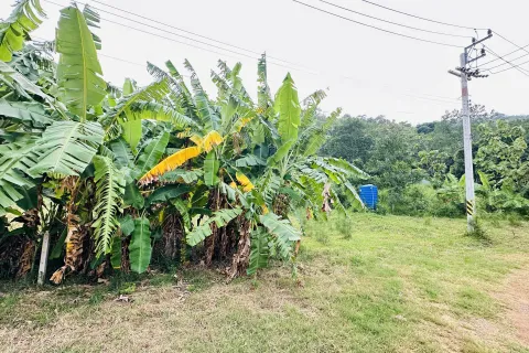 Земельный участок в Хуа Хине, Таиланд 2580м2  № 157280 - фото 6