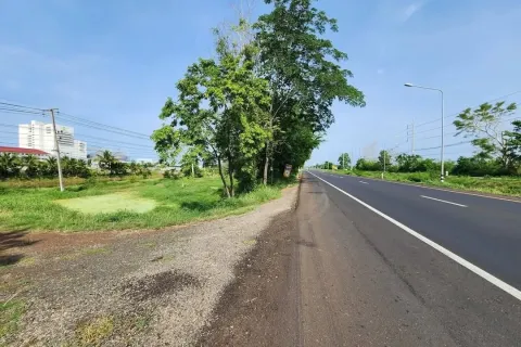 Земельный участок в Накхонратчасиме, Таиланд 41600м2  № 157277 - фото 5
