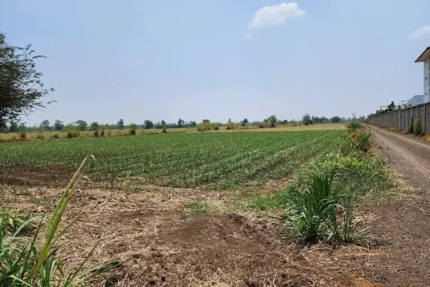 Земельный участок в Накхонратчасиме, Таиланд 41600м2  № 157277 - фото 7