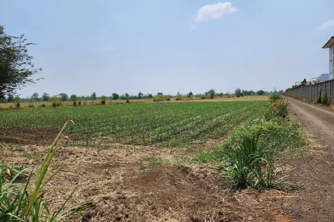 Земельный участок в Накхонратчасиме, Таиланд 41600м2  № 157277 - фото 2