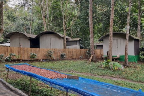 Земельный участок в Мае Оне, Таиланд 400404м2 № 142246 - фото 6