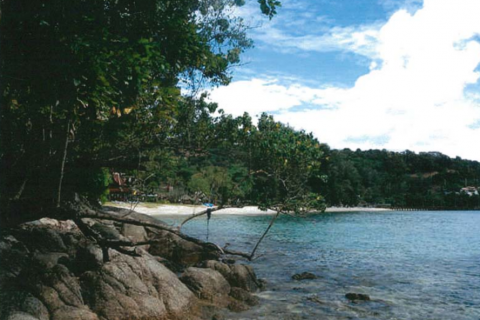 Land in Kathu, Thailand 13392 sq.m. № 142249 - photo 1