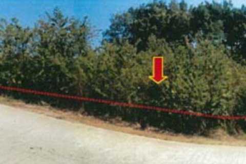 Land in Kathu, Thailand 13392 sq.m. № 142249 - photo 3