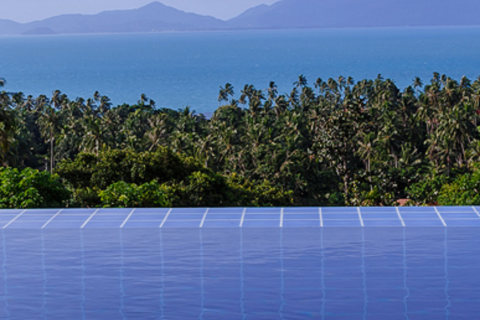 Terrain à Ko Samui, Thaïlande 2450 m2 № 167422 - photo 3