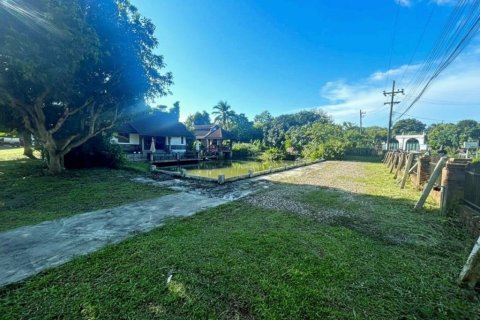 Terrain à Chiang Rai, Thaïlande № 146739 - photo 4