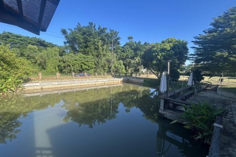 Terrain à Chiang Rai, Thaïlande № 146739 - photo 9