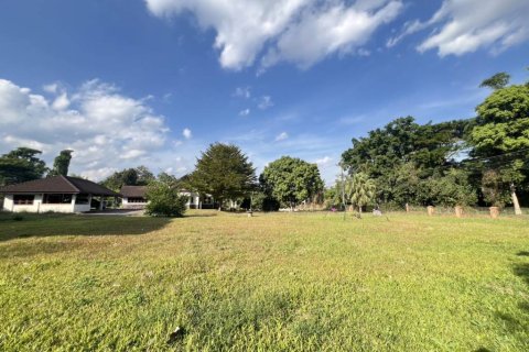 Land in Chiang Rai, Thailand № 146739 - photo 8