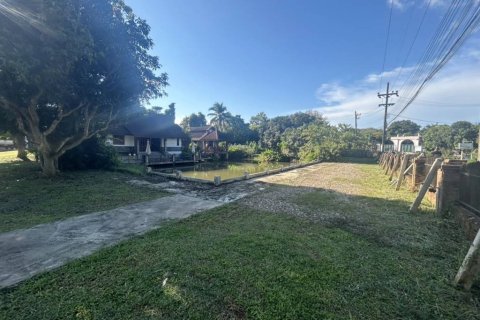 Terrain à Chiang Rai, Thaïlande № 146739 - photo 3