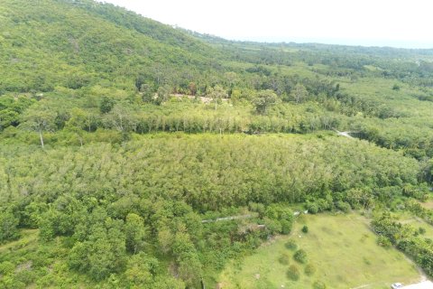 Terrain à Ko Samui, Thaïlande 20800 m2 № 147425 - photo 20