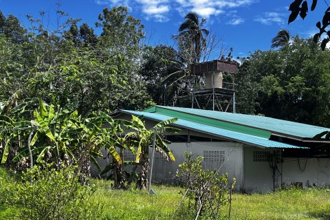 Земельный участок в Самуи, Таиланд 20800м2  № 147425 - фото 4