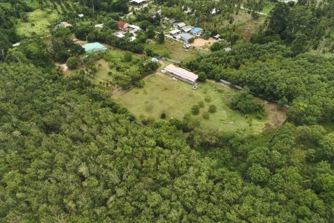 Terrain à Ko Samui, Thaïlande 20800 m2 № 147425 - photo 16