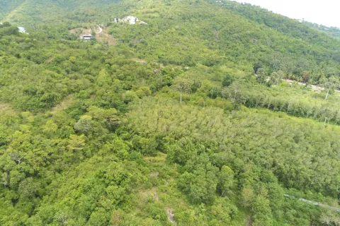 Terrain à Ko Samui, Thaïlande 20800 m2 № 147425 - photo 19