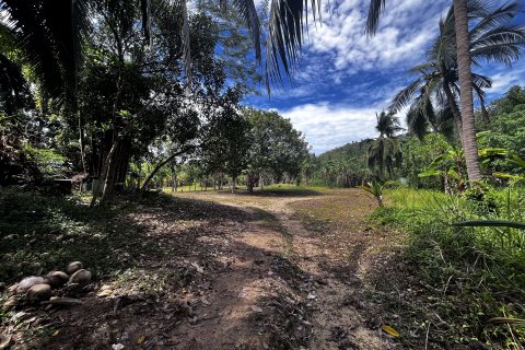 Земельный участок в Самуи, Таиланд 20800м2  № 147425 - фото 6