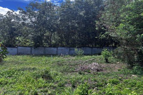 Земельный участок в Самуи, Таиланд 20800м2  № 147425 - фото 9