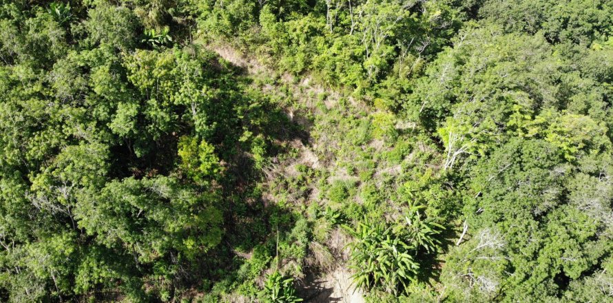 Land in Kathu, Thailand 6788 sq.m. № 151444