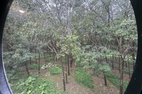 Дом в Пхукете, Таиланд с 4 спальнями № 151442 - фото 17