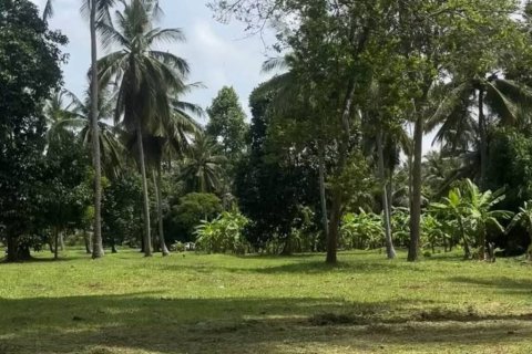 Земельный участок в Сураттхани, Таиланд  № 147014 - фото 4