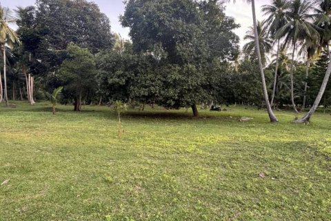 Земельный участок в Сураттхани, Таиланд  № 147014 - фото 6