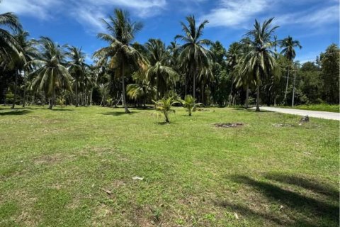 Земельный участок в Сураттхани, Таиланд  № 147014 - фото 1