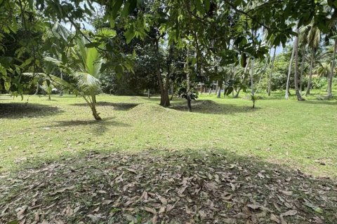 Земельный участок в Сураттхани, Таиланд  № 147014 - фото 7