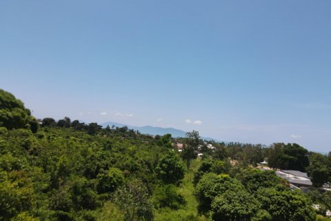 Terrain à Ko Samui, Thaïlande 8460 m2 № 136312 - photo 3