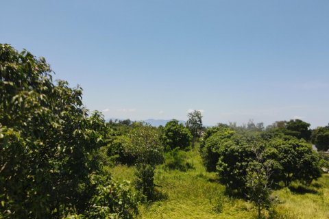 Terrain à Ko Samui, Thaïlande 8460 m2 № 136312 - photo 6