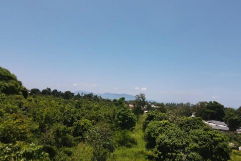 Terrain à Ko Samui, Thaïlande 8460 m2 № 136312 - photo 5