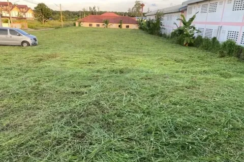 House in Rayong, Thailand 3 bedrooms № 148874 - photo 3