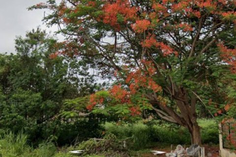 Земельный участок в Чиангмае, Таиланд 6400м2  № 155956 - фото 4