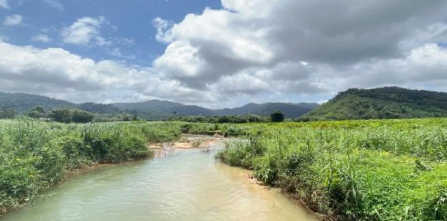 Land in Phang Nga, Thailand 161956 sq.m. № 173922