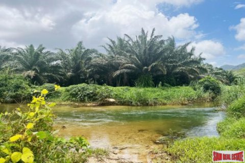 Land in Phang Nga, Thailand 161956 sq.m. № 173922 - photo 5