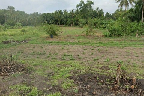 Terrain à Chumphon, Thaïlande 541748 m2 № 156917