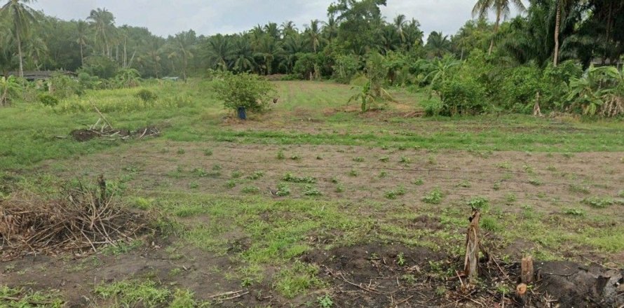 Terrain à Chumphon, Thaïlande 541748 m2 № 156917