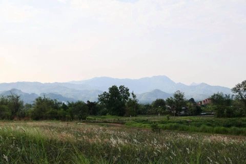 Land in Mae Chan, Thailand 5520 sq.m. № 156918 - photo 15